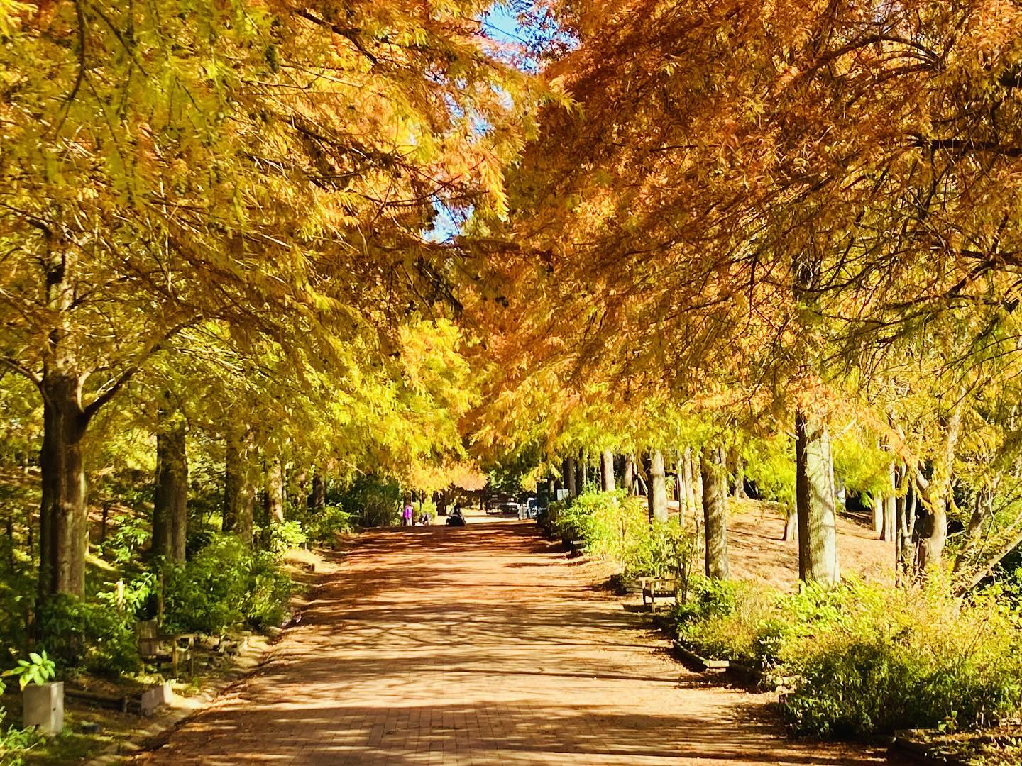 播磨中央公園