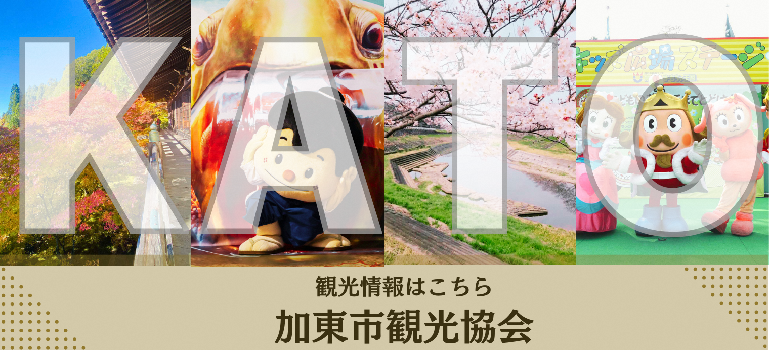 観光情報