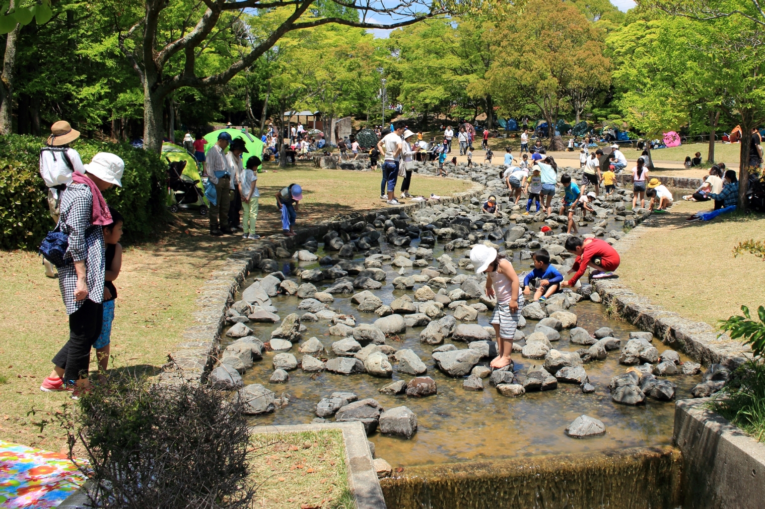 播磨中央公園子どもの小川