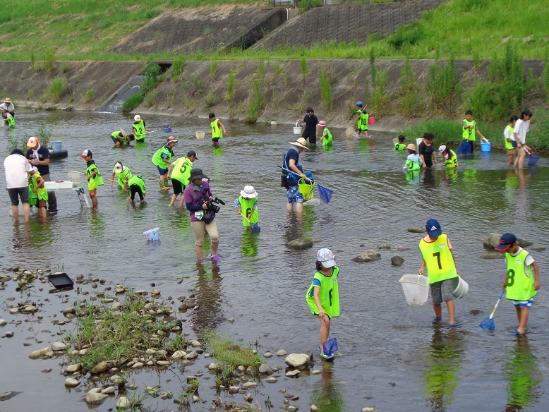 水生生物を探す子どもたち
