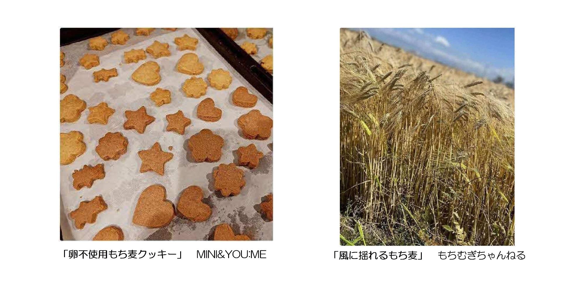 B賞2