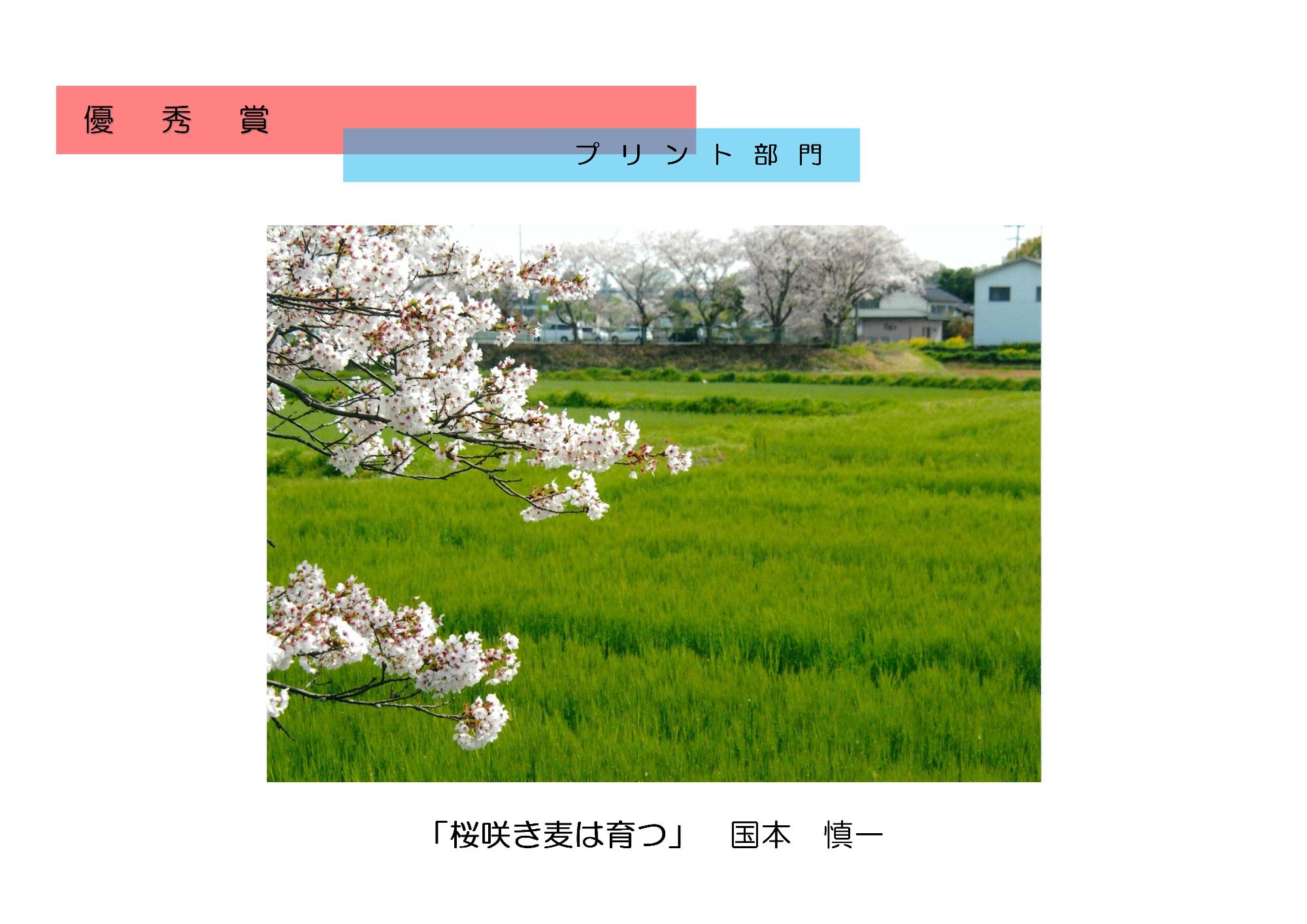 優秀賞