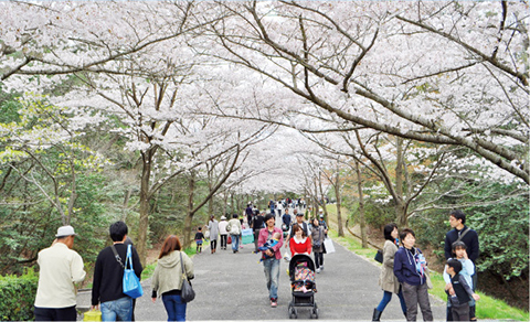 播磨中央公園