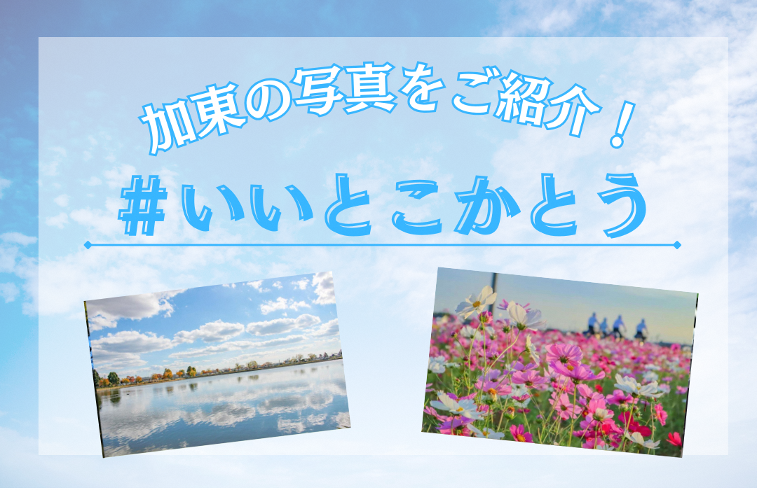 いいとこかとう