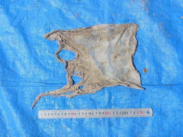 下水道のつまりの原因となった異物