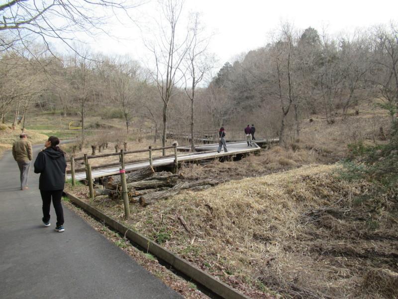 里山散策