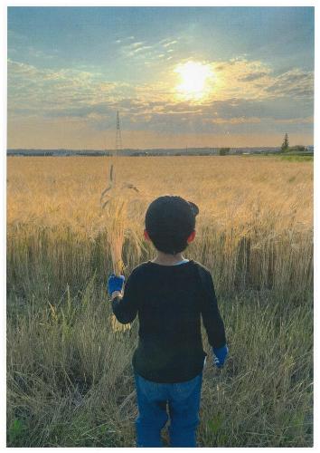 もち麦畑と少年（オレ）