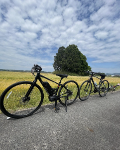 黄金色のサイクリングコース