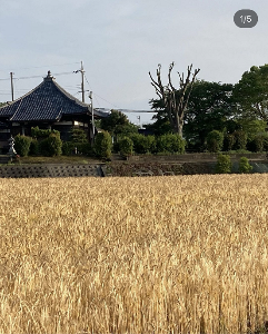 好きな風景
