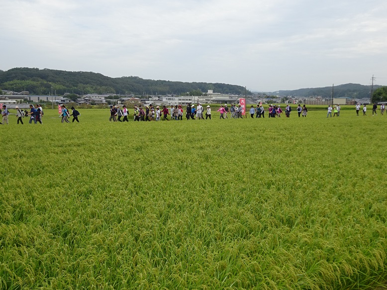 前回開催時の探訪ウォーク写真