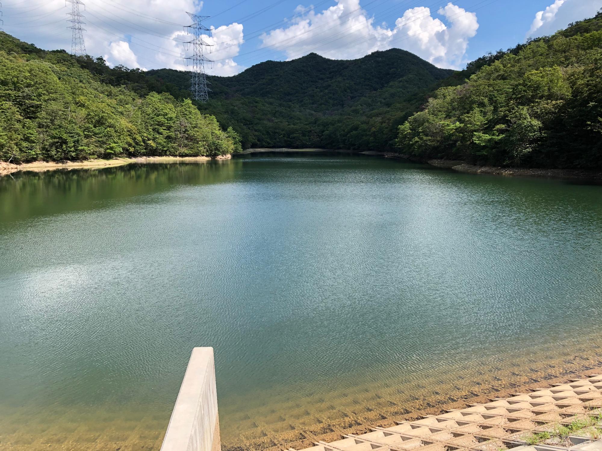 取組前のため池の様子