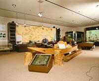 （写真）加古川流域滝野歴史民俗資料館