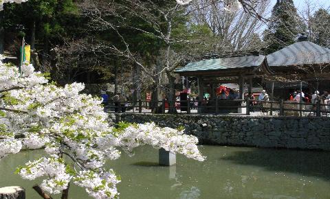 播州清水寺桜まつり