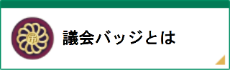 議員バッジ